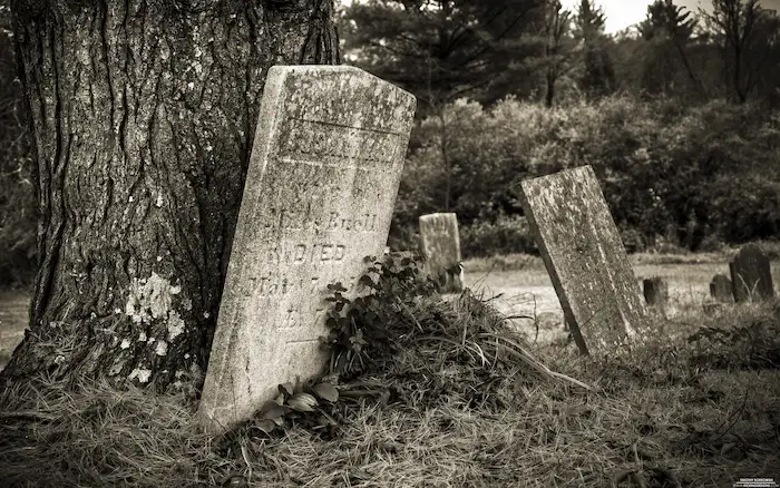Photo of gravestones